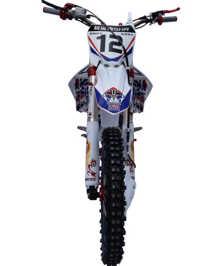 120Km/H Enduro Dual Sport Motorcycles 250cc Electric Enduro Dirt Bike