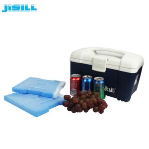 Quality Thermal 4 Degrees Freezable Ice Packs High Efficient wholesale