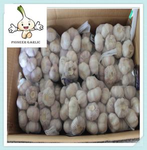 Quality 2016 crop farmer lowest garlic price in China The Best Healthy Product Garlic wholesale