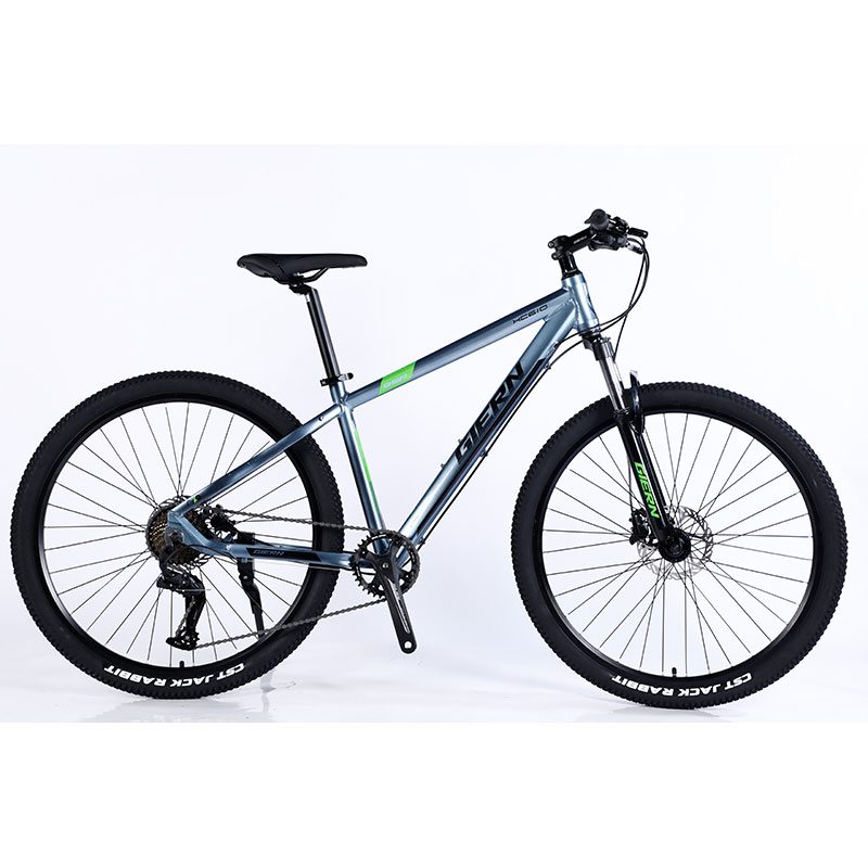 Double Wall Rim Hl Mountain Bike With Front And Rear Wheel Disc Brake