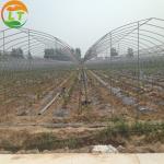 Film Cover Galvanized Skeleton Agricultural Equipment for Mushroom Growing