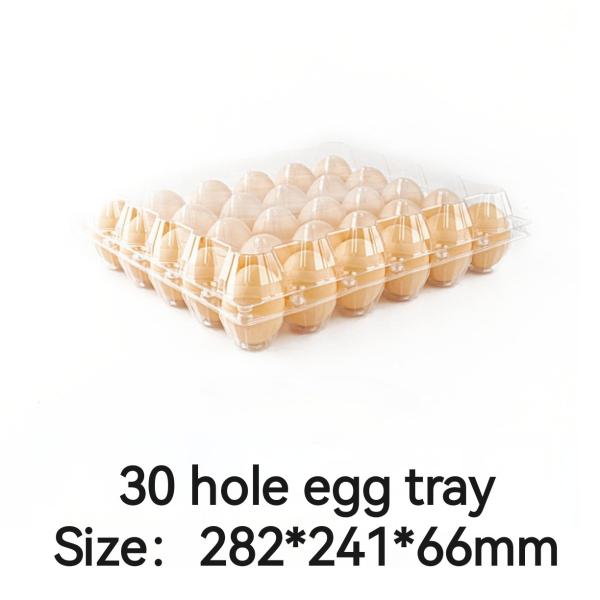 Transparent Plastic Egg Packaging 30 Holes Large Disposable Bulk Plastic Egg