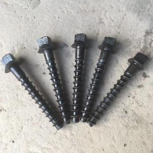 Quality Sleeper Timber Screws OEM Rail Screw Spike Carbon Steel Galvanized Stainless Steel Screw wholesale