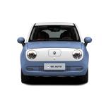 Great Wall ORA R1 Black Cat Electric Car 102km/H High Speed