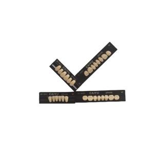 Quality High Durability Dental Artificial Teeth Supported By VITA System Technology wholesale