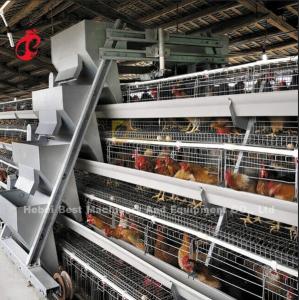 Quality A Type Automatic Poultry Farming Cage System For Layers Star wholesale