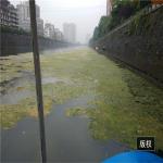 4000m2/H 8km/H River Water Cleaning Machine Pond Weed Harvester