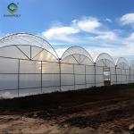 Commercial Multi Span Greenhouse Plastic Film Greenhouse For Vegetable Growing
