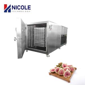 Quality Industrial Vacuum Pharmaceutical Fruit Freeze Dryer Machine For Food Flower wholesale