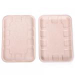 Biodegradable Bagasse Sugarcane Food Tray Fruits Vegetables Disposable Party