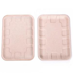 Quality Biodegradable Bagasse Sugarcane Food Tray Fruits Vegetables Disposable Party Tray wholesale