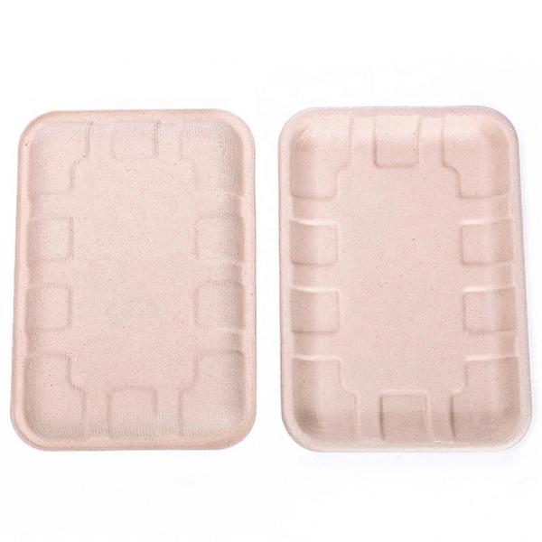 Biodegradable Bagasse Sugarcane Food Tray Fruits Vegetables Disposable Party