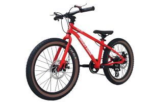 Quality 20&quot; Kids Carbon Fiber Mtb Bike 21 Speed Cable Pull Disc Brake Cross Country wholesale