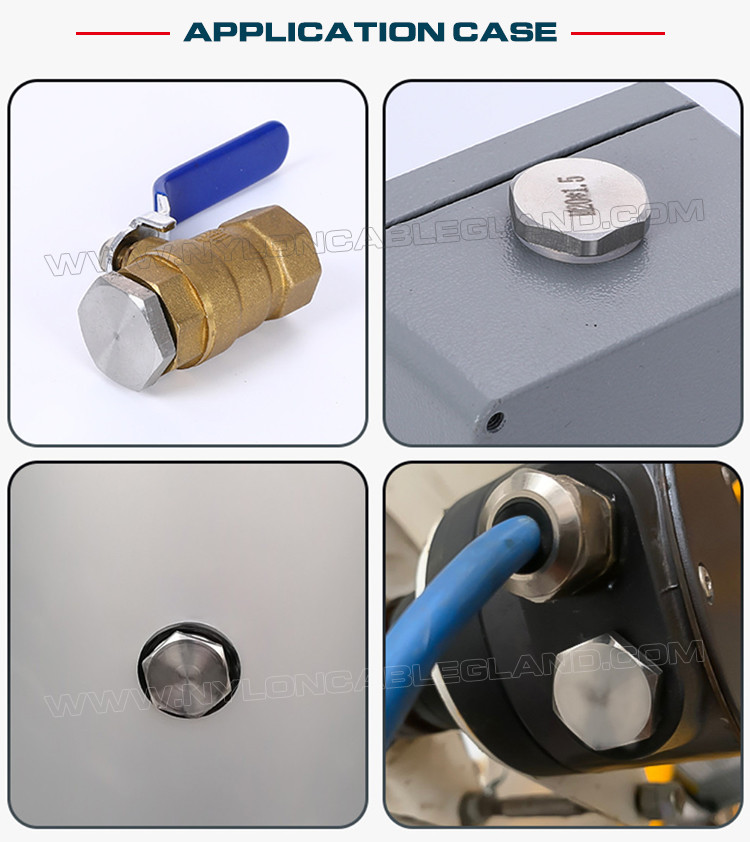 304, 316 Stainless Steel (Brass) Round or Hexagonal Blind Plugs Blanking Plugs with PG7~PG48 & M12~M110 threads
