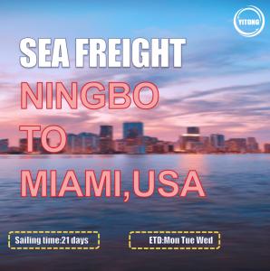 Quality MSC EMC Liner International Sea Freight Solutions From Ningbo To Miami USA wholesale