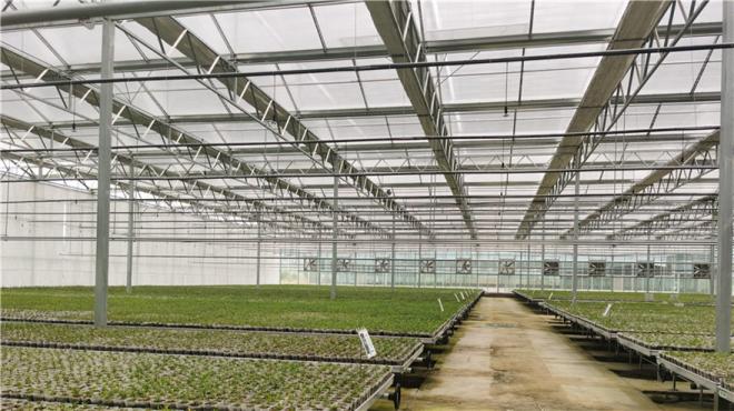 Large Size Transparent Glass Greenhouse Super Strong Resistance and Hydroponics System