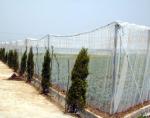 50m agriculture net export to vietnam market