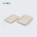 PLA Biodegradable Bagasse Tableware Dish Fast Food Serving Tray