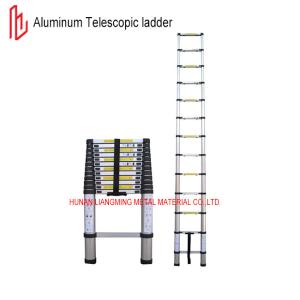 Quality Telescopic Aluminum Straight Ladder 30cm Step Distance En131 Certificated wholesale