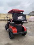 Enhanced Visibility 2 Seater Golf Cart With Striking LED Lights