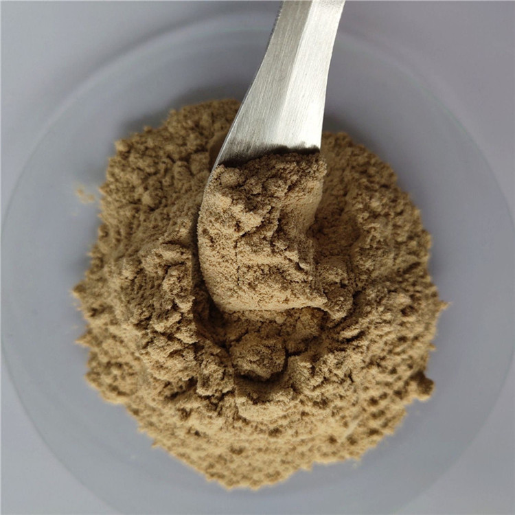 gmp cure osteoporosis horsetail extract in bulk