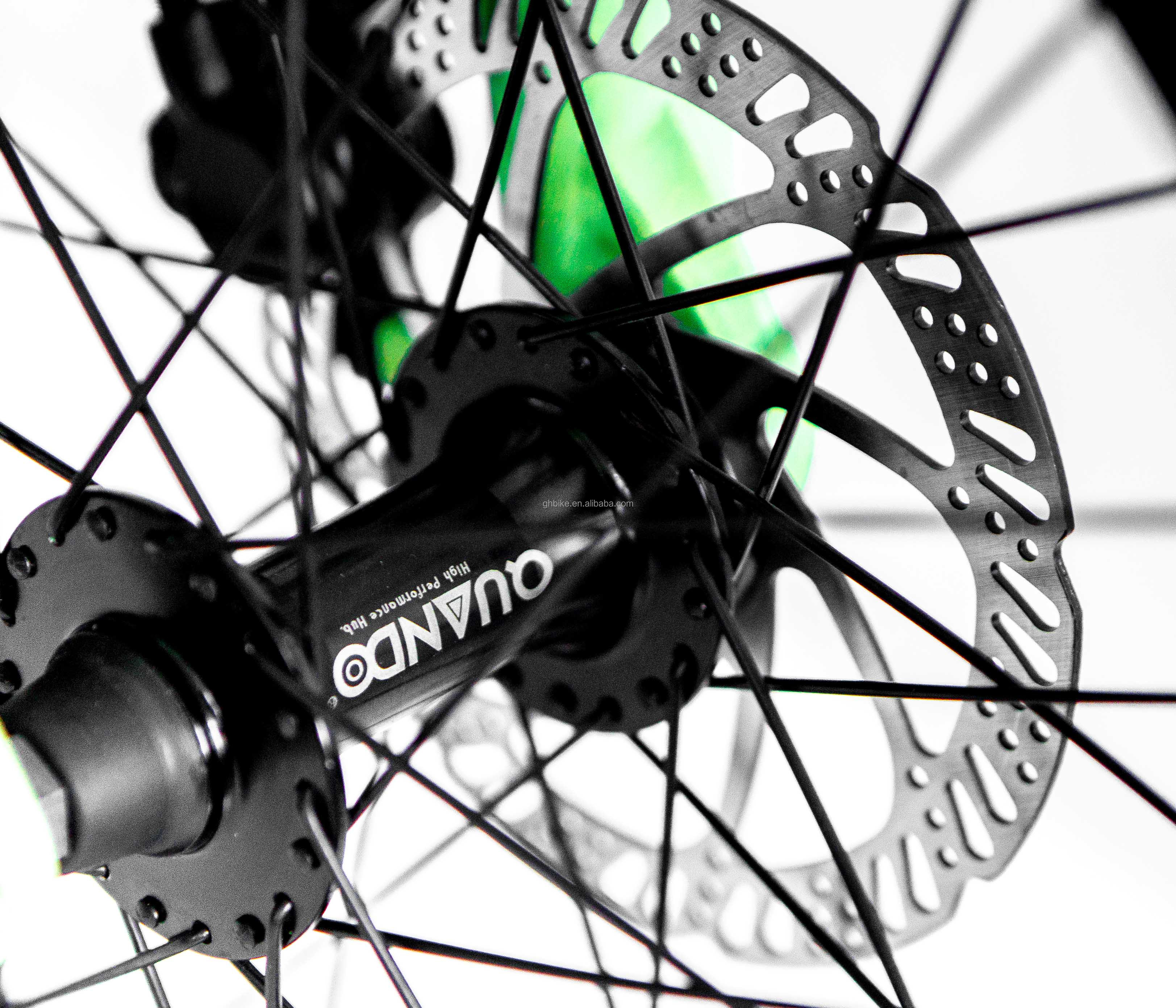 20inch Suspension CE OEM 48V 34AH 1000W 8FUN MOTOR CHINESE DUAL BATTERY ELECTRIC BIKE