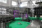 Monoblock Level Adjusted Bottle Filling Machine With Copper Ring