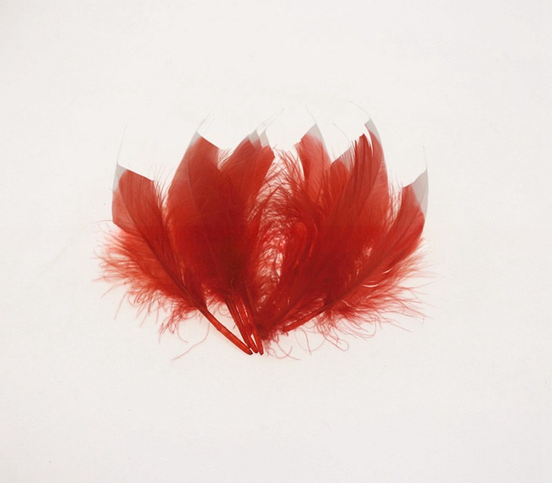 Handmade Two Tone Stripped Goose Carnival Feathers For Personalized Crafts