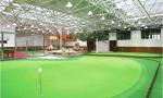Fake Landscape Indoor Grass Mat / Plastic Floor Always Green Synthetic Turf
