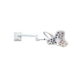 Adjustable Wall Mounted Examination Lamp For Dental Gynaecology Pet Tattoo
