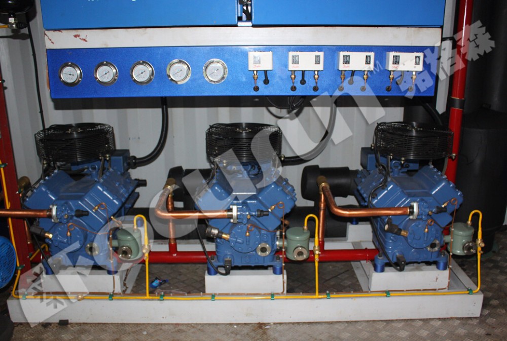 40ft Containerized 20TPD Block Ice Machine with 2.7kw 124.3kw Power 11800*2300*1900mm