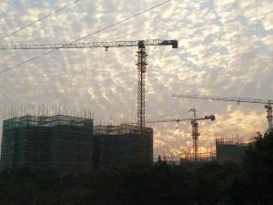 Quality Lifting Capacity 4ton 51m Topless Tower Crane For High Rise Building Construction wholesale