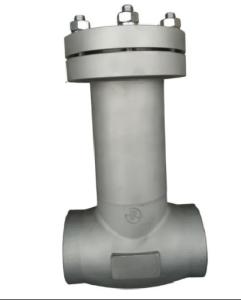 Quality CDH61F-40PB 304 Cryogenic Check Valve SS 304 Low Temperature Customized wholesale