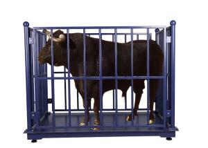 Quality 500kg Livestock Scales For Cattle wholesale