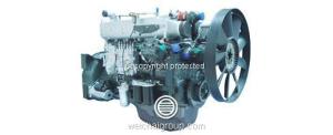 Quality Weichai WD615 Euro II HD Truck Engines wholesale