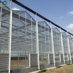 Anti Reflective Automatic Venlo Glass Greenhouse With Agricultural Farming