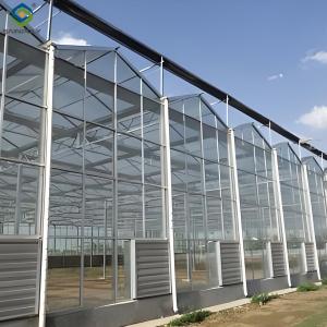 Quality Anti Reflective Automatic Venlo Glass Greenhouse With Agricultural Farming Systems wholesale