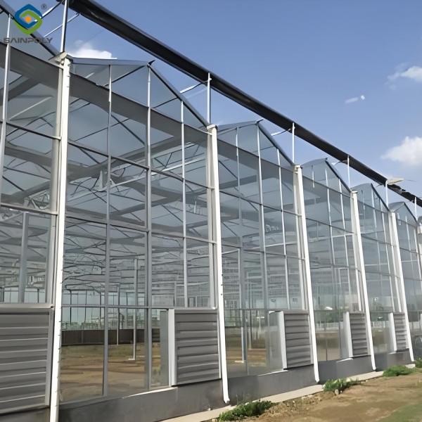 Anti Reflective Automatic Venlo Glass Greenhouse With Agricultural Farming