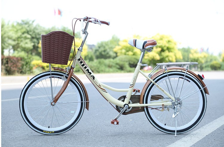 Single Speed Fixed Gear 24 Inch City Bike