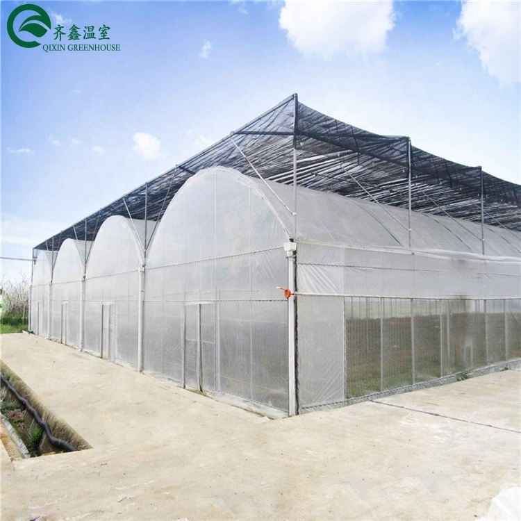 PO Film Double Layer Hydroponic Container for Superior Plant Growth Results