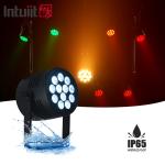 Waterproof 12x20w RGBWA UV 6IN1 LED Par Light Outdoor IP65 DMX512 Par Can