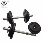 Cast Iron Black Painting Standard Weight Plate / Weight Disc