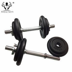 Quality Cast Iron Black Painting Standard Weight Plate / Weight Disc wholesale