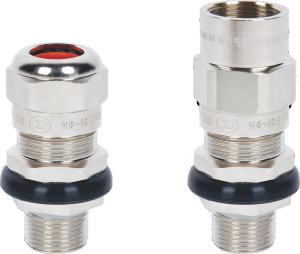Quality DQM-I Series Explosion Proof Warom Cable Gland (Ex Eb IIC) Metal Armored wholesale