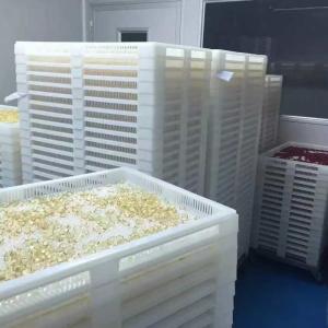Quality 5cm Food Grade Ppe Plastic Drying Trays And Trolly wholesale
