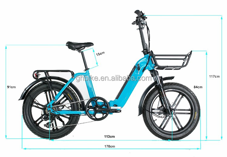 750W Magwheel Motor Thru Aluminum Folding Frame Suspension Fork Electric Folding Bike