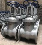Silver DN50 DN80 Stainless Steel 304 Non-Rising Stem Flange Gate Valve with Hand