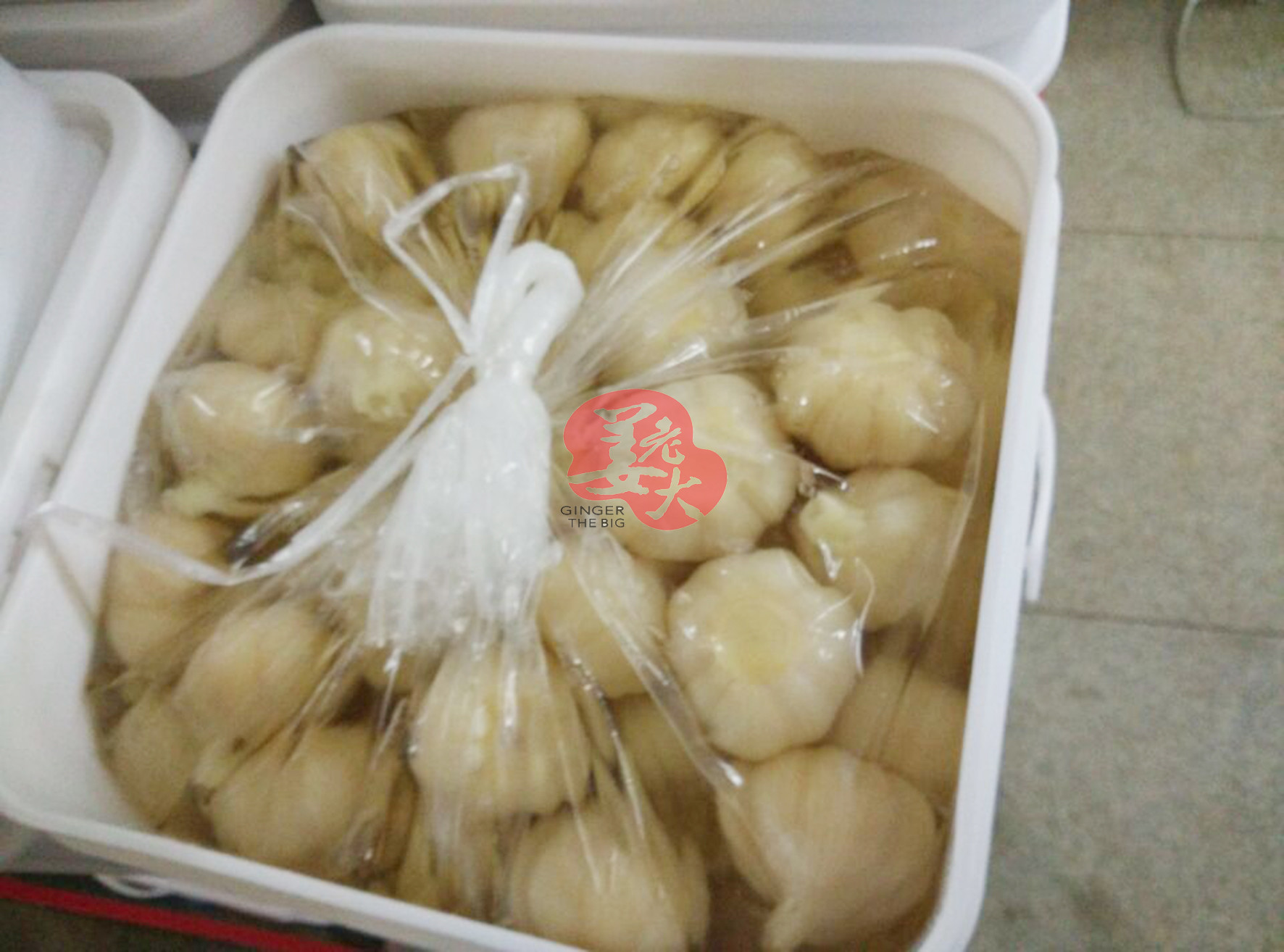 White Healthy Warm Stomach Sushi Pickled Ginger