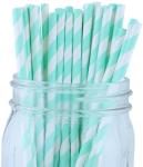 FDA Disposable Paper Straws