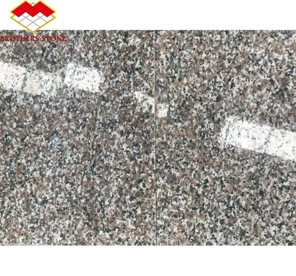 Modern G664 Suppliers Granite Slabs 60x60 Porrno Granite Tiles for Park Graphic